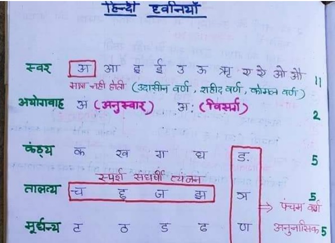 General Hindi for upsssc pet handwritten notes in hindi PDF