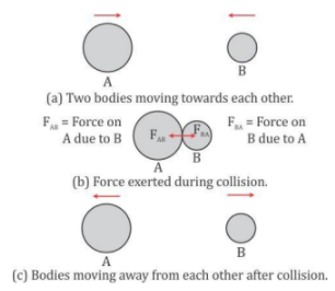 Study Material For ICSE Class 10 Free Download in PDF
